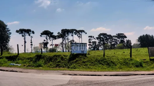 Lote/Terreno para alugar, 20000m² no Rio Pequeno, São José dos Pinhais