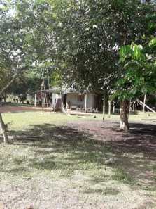 Fazenda/Sítio com 1 Quarto à venda, 5000m² no Três Marias, Porto Velho