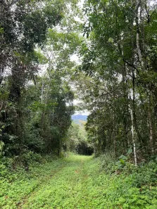 Fazenda/Sítio à venda, 5800m² no , Guaramiranga