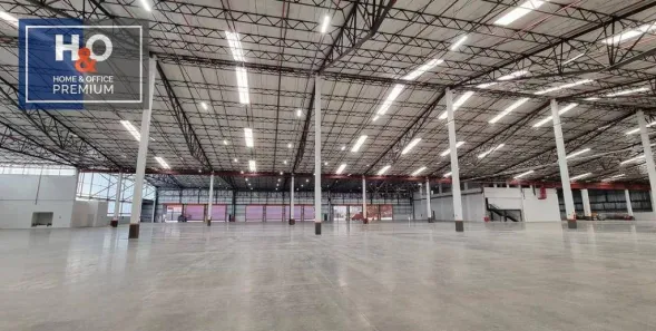 Galpão/Depósito/Armazém para alugar, 7830m² no Vila Anastácio, São Paulo