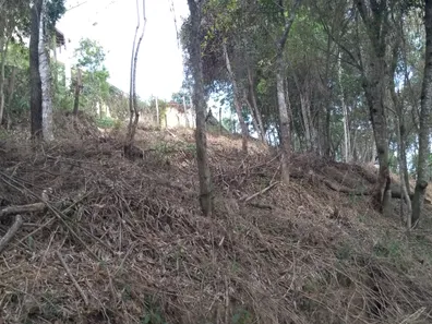 Lote/Terreno à venda, 1461m² no Pirucaia, Mairiporã