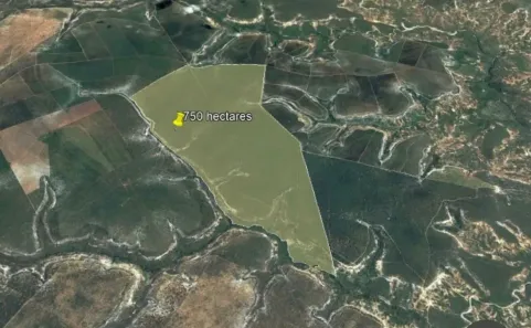 Fazenda/Sítio à venda, 7440000m² no , Urucuia