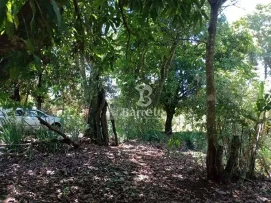 Fazenda/Sítio com 2 Quartos à venda, 120m² no Esperança, Londrina