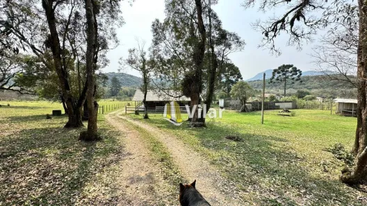 Fazenda/Sítio com 2 Quartos à venda, 80m² no Planta Deodoro, Piraquara