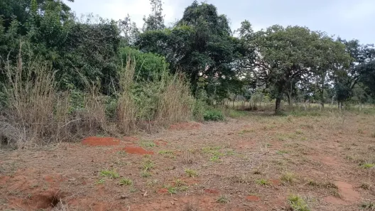 Fazenda/Sítio à venda, 700m² no , Hidrolândia
