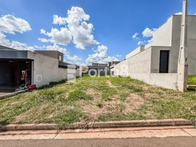Lote/Terreno à venda, 253m² no Residencial Maria Júlia, São José do Rio Preto