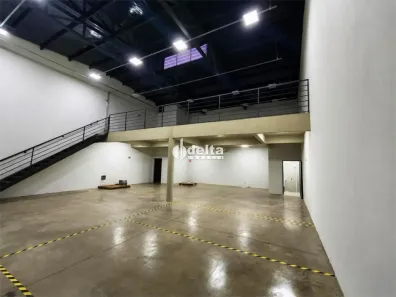 Ponto Comercial para alugar, 290m² no Segismundo Pereira, Uberlândia