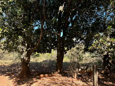 Fazenda/Sítio à venda, 8950m² no Residencial Solar Ville, Goiânia
