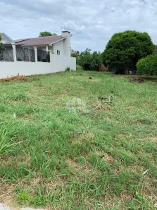 Lote/Terreno à venda, 521m² no Cidade Nova, Ivoti