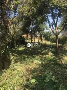Lote/Terreno à venda, 804m² no Mirante da Mata, Nova Lima