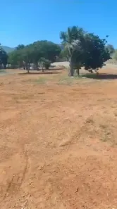 Fazenda/Sítio à venda, 36000m² no Plano Diretor Sul, Palmas