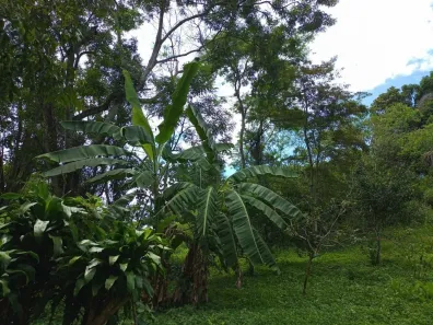 Lote/Terreno à venda, 5000m² no Chácaras de Inoã (Inoã), Maricá