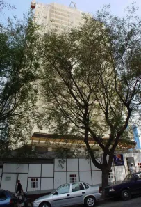 Apartamento com 4 Quartos à venda, 164m² no Caminhos de San Conrado (Sousas), Campinas