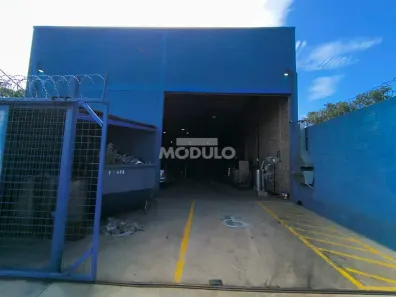 Galpão/Depósito/Armazém para alugar, 300m² no Santa Rosa, Uberlândia