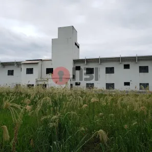 Imóvel Comercial com 21 Quartos para alugar, 800m² no Jardim Moysés Miguel Haddad, São José do Rio Preto