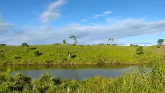 Fazenda/Sítio à venda, 10000m² no Porto Seguro, Porto Seguro