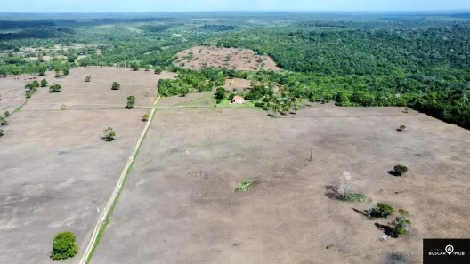 Lote/Terreno à venda, 7140000m² no , Cardeal da Silva