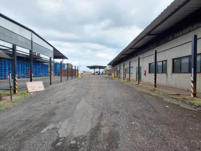 para alugar, 16560m² no Recreio Anhangüera, Ribeirão Preto