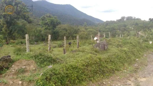 Lote/Terreno à venda, 28314000m² no Paiol de Baixo, Campina Grande do Sul