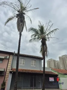 Casa com 3 Quartos para alugar, 80m² no Vila São Geraldo, Taubaté