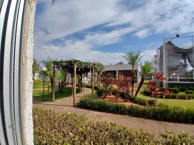Apartamento com 2 Quartos à venda, 42m² no Residencial Jequitibá, Ribeirão Preto