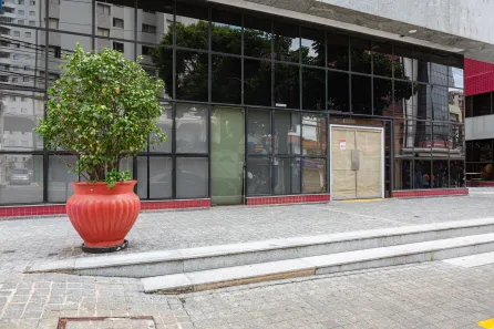 Ponto Comercial para alugar, 300m² no Vila Monte Alegre, São Paulo