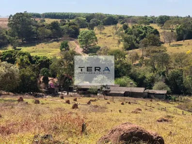 Fazenda/Sítio à venda, 338800m² no , Bela Vista de Goiás