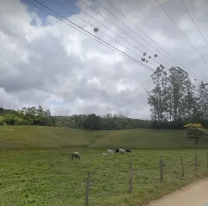Fazenda/Sítio com 3 Quartos à venda, 71313m² no Centro, Imaruí