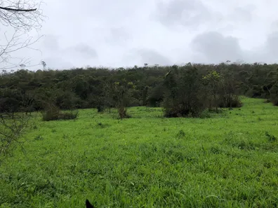 Fazenda/Sítio com 3 Quartos à venda, 3669565m² no , Mundo Novo
