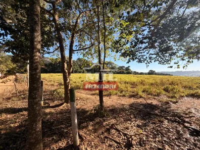 Fazenda/Sítio à venda, 1m² no , Bela Vista de Goiás