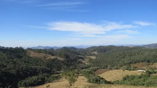 Lote/Terreno à venda, 28000m² no , Gonçalves