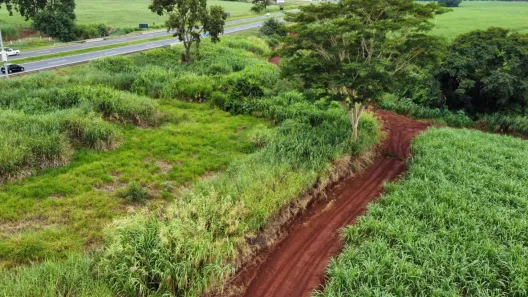 Fazenda/Sítio com 3 Quartos à venda, 1694000m² no Centro, Brodowski