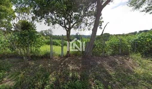 Lote/Terreno à venda, 10000m² no Chácara Vale do Rio Cotia, Carapicuíba