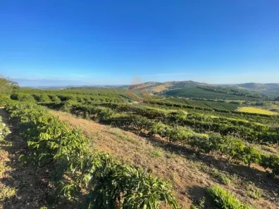 Fazenda/Sítio com 1 Quarto à venda, 7290000m² no Zona Rural, São Lourenço