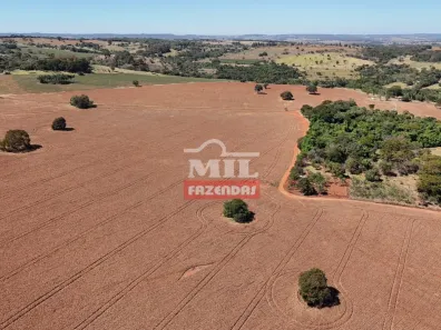 Fazenda/Sítio à venda, 1m² no , Bela Vista de Goiás