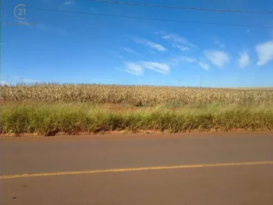 com 1 Quarto à venda, 121000m² no Conjunto Vivi Xavier, Londrina