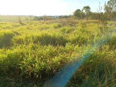 Fazenda/Sítio à venda, 119000m² no Estância Grande, Viamão