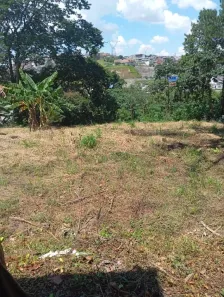 Lote/Terreno à venda, 10000m² no Três Cruzes, São Paulo