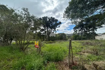Lote/Terreno à venda, 3605m² no , Campo Largo