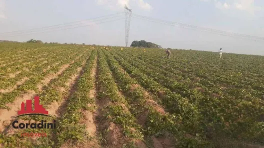 Lote/Terreno à venda, 145979m² no Chácara Cruzeiro do Sul, Sumaré