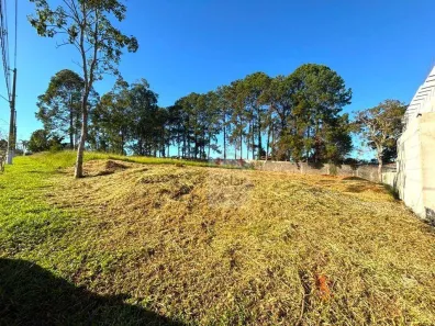 Lote/Terreno à venda, 640m² no Jardim Julieta, Taubaté