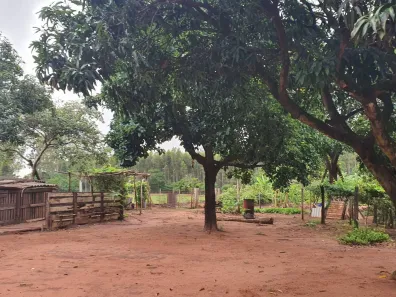 Fazenda/Sítio com 3 Quartos à venda, 10870m² no Rural, Mandaguaçu