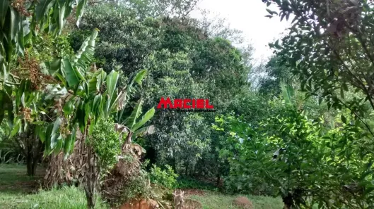 Fazenda/Sítio com 3 Quartos à venda, 450m² no Torrão de Ouro II, São José dos Campos