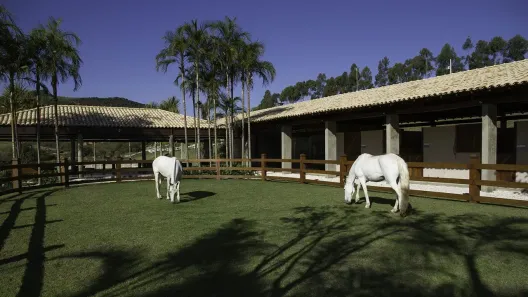 Lote/Terreno à venda, 800m² no Acuruí, Itabirito
