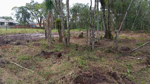 Lote/Terreno à venda, 420m² no Balneário Praia Grande, Matinhos