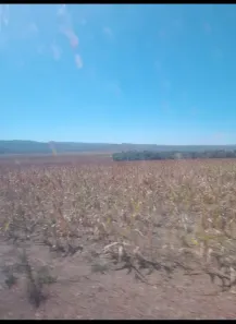 Fazenda/Sítio à venda no , Alto Paraíso de Goiás