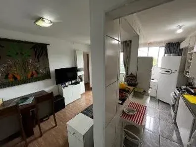 Apartamento com 2 Quartos à venda, 49m² no Vila Moraes, São Paulo
