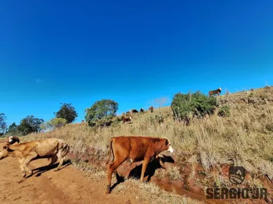Fazenda/Sítio com 1 Quarto à venda, 634000000m² no , Arroio dos Ratos