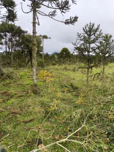 Lote/Terreno à venda, 20000m² no , Urubici