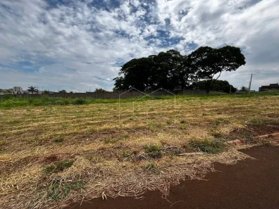Lote/Terreno à venda, 552m² no Vila Real, Jaú